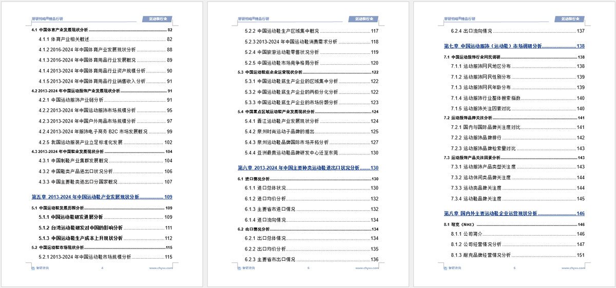 前景研究报告（2025-2031年）新利娱乐中国运动鞋行业发展现状及投资